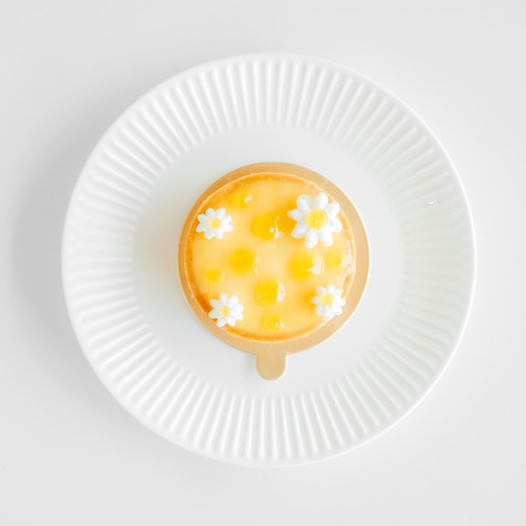 Lemon Meringue "Whipped Cream" Premium Shea Butter